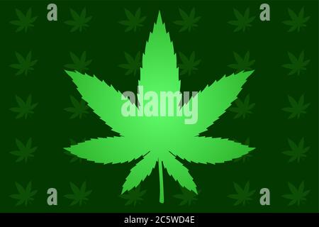 Magnifique fond avec feuilles de cannabis vert clair sur fond sombre Illustration de Vecteur
