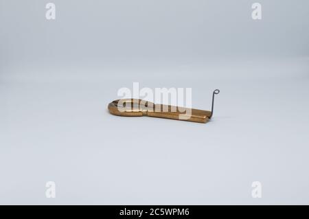 Macrophotographie d'une harpe à mâchoires anciennes - isolée sur fond blanc. Banque D'Images