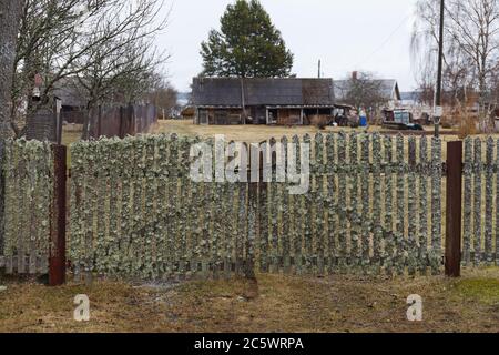 Ferme couverte de lichen et de mousse dans le village estonien Banque D'Images