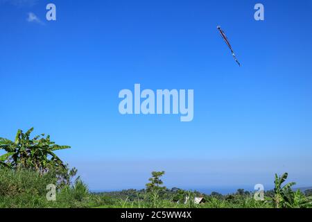 long tailleurs cerf-volant sur ciel bleu. Le cerf-volant coloré sur le ciel bleu avec des nuages Banque D'Images