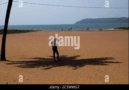 Jeune homme debout sur la plage à l'ombre d'un cocotier vérifiant son téléphone mobile, Panaji, Goa, Inde. Banque D'Images