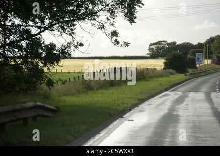 Monkton, Écosse, Royaume-Uni. 5 juillet 2020. Photo : accident de la route sur la chaussée nord de la route A77, près de la station de service de Monkton. Une voiture de la famille Renault Clio blanche quitte le chemin de la voiture sur l'A77 et a fini dans le champ aa. Tous les sacs gonflables déployés et une famille de 3 personnes (un homme par jour et un bébé) ont été vus debout à côté de la voiture dans le champ. Des services de police et d'ambulance étaient présents, où le traitement a été donné par des ambulanciers paramédicaux. Crédit : Colin Fisher/Alay Live News Banque D'Images