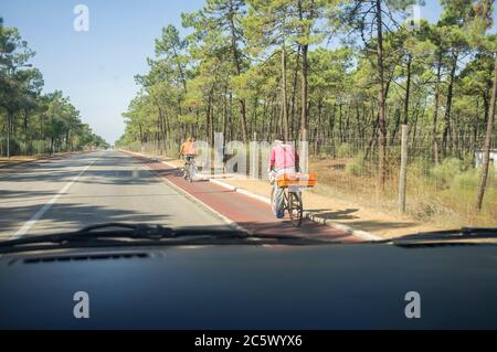 Conduite lente derrière deux cyclistes sur la route forestière. Vue de l'intérieur de la voiture Banque D'Images