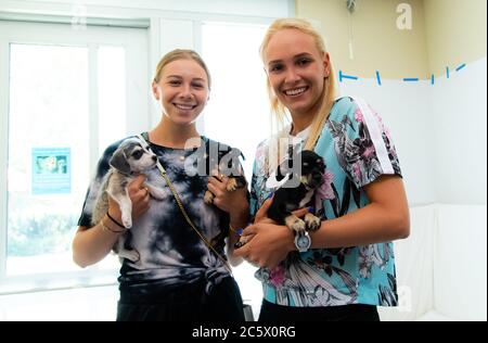 Donna Vekic, de Croatie, et Amanda Anisimova, des États-Unis, visitent la Humane Society of Silicon Valley avant le tournoi de tennis Mubadala Silicon Valley Classic Premier 2019 Banque D'Images