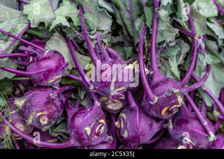 Kohlrabi violet à vendre sur un marché agricole Banque D'Images