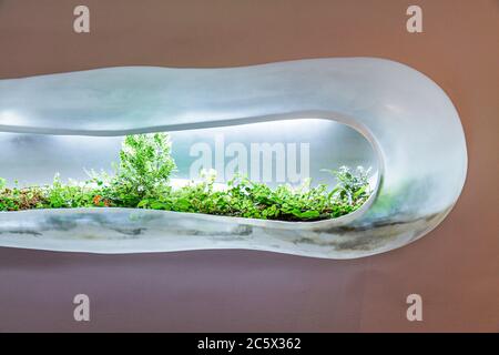 New York City, NY NYC Midtown, Manhattan, 53rd Street, le Musée d'Art moderne, MoMA, galerie, galeries, revendeur, revendeurs, galeriste, exposition collection Banque D'Images