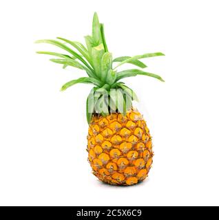 Fruit frais à l'ananas sur fond blanc. Ananas entier avec feuilles vertes photo studio. Fruits exotiques mûrs juteux isolés. Décoration jus de fruit Banque D'Images