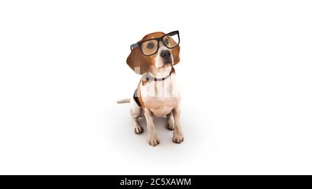 concept affaires animaux ou formation d'intelligence de chien. rendu 3d Banque D'Images