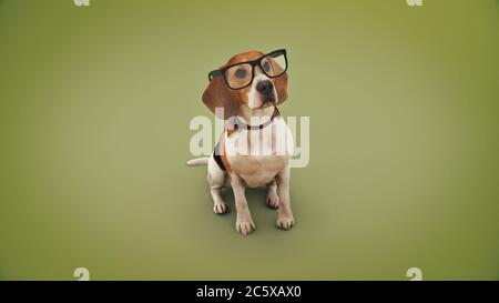 concept affaires animaux ou formation d'intelligence de chien. rendu 3d Banque D'Images