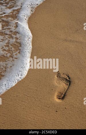 Empreinte sur la plage de sable doré immaculée et la ligne de flottaison - Madère, île de Port Santo, Portugal. Banque D'Images