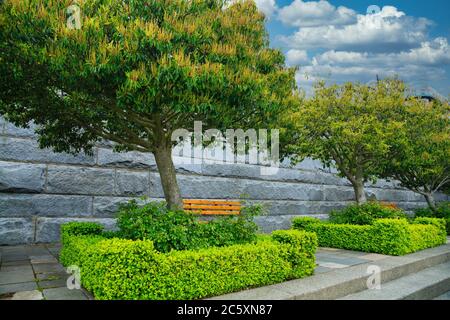 Banc dans le parc Victoria sous les arbres Banque D'Images