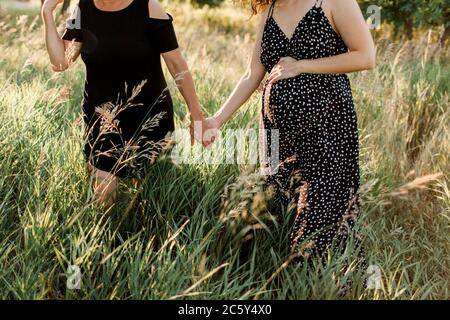 Mère et fille enceinte se tenant les mains et marchant dans un champ herbeux Banque D'Images