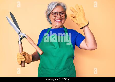 Femme hispanique senior portant un tablier et des gants de jardinier tenant des ciseaux faisant signe ok avec les doigts, souriant sympathique gestante excellent symbole Banque D'Images