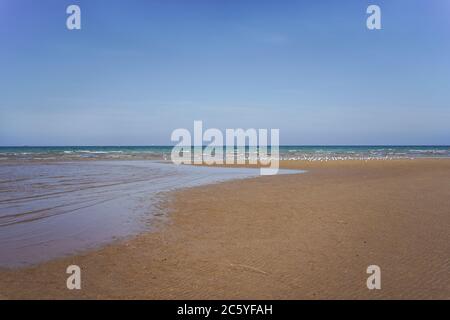 Muscat / Oman - 10 février 2020 : plage à Muscat Banque D'Images