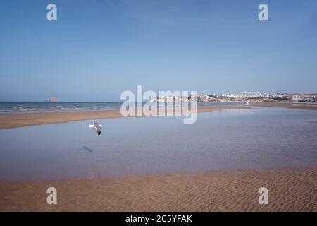 Muscat / Oman - 10 février 2020 : plage à Muscat Banque D'Images