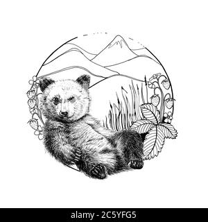 Ours en peluche, dessin graphique illustration monochrome sur fond blanc (originaux, pas de tracé) Banque D'Images