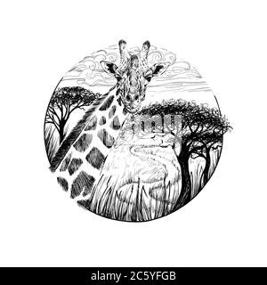 Girafe dessinée à la main, croquis graphiques illustration monochrome sur fond blanc (originaux, pas de tracé) Banque D'Images