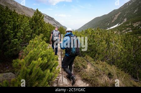 Deux jeunes hommes marchent sur un chemin avec des bâtons et des sacs à dos à la montagne. Randonneurs dans la montagne de Pirin, Bulgarie. Magnifique paysage vert de printemps Banque D'Images