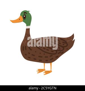 Mignon canard, animal, oiseau tendance style vecteur de dessin animé Illustration de Vecteur