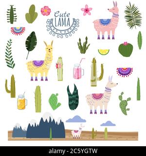 Set Lama Alpaca cactus boissons et décoratif. Collection d'éléments pour la décoration Illustration de Vecteur