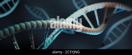 Les particules bleues de structure d'adn sont brillantes sur fond sombre. Concept génétique et médecine. rendu 3d. Photo de haute qualité Banque D'Images