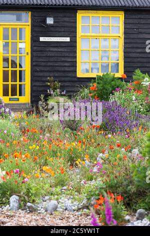 Prospect Cottage, Dungeness, Kent, Angleterre, Royaume-Uni : la résidence unique du cinéaste Derek Jarman, qui a créé le célèbre jardin de galets Banque D'Images