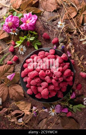 Framboises fraîches juteuses sur une assiette noire. L'été encore la vie avec, framboises, fleurs et herbes de prairie. Vue du dessus. Banque D'Images