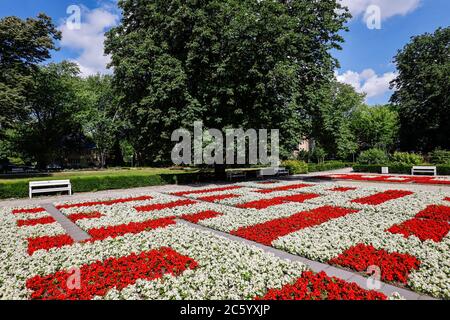 Oberhausen, région de la Ruhr, Rhénanie-du-Nord-Westphalie, Allemagne - massifs fleuris dans le Grilopark à l'hôtel de ville. Oberhausen, Ruhrgebiet, Nordrhein-Westfalen, Banque D'Images