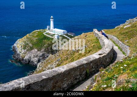 South Stack Lighthouse (1809) est sur une petite île au large de Holy Island, Anglesey, pays de Galles, Royaume-Uni. Les falaises font partie de la réserve RSPB de South Stack. Banque D'Images