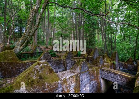 Vestiges du mur de l'ouest au-dessus de la Grölisbach, près de Roetgen, barrière anti-char de 100 mètres de long à travers une petite vallée, construite en 1939, Eifel, NRW, Allemagne Banque D'Images