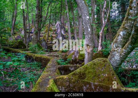 Vestiges du mur de l'ouest au-dessus de la Grölisbach, près de Roetgen, barrière anti-char de 100 mètres de long à travers une petite vallée, construite en 1939, Eifel, NRW, Allemagne Banque D'Images