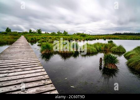 Les Hautes Fagnes, Brackvenn, haute lande, sentier de randonnée en bois, en Wallonie, en Belgique, dans la zone frontalière avec l'Allemagne, Banque D'Images