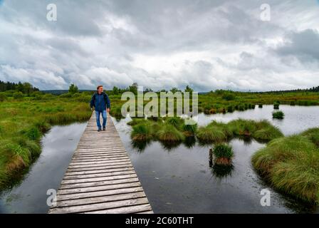 Les Hautes Fagnes, Brackvenn, haute lande, sentier de randonnée en bois, en Wallonie, en Belgique, dans la zone frontalière avec l'Allemagne, Banque D'Images