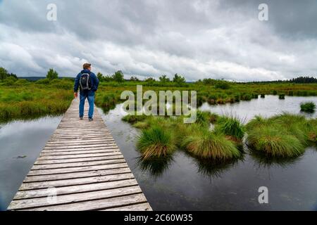 Les Hautes Fagnes, Brackvenn, haute lande, sentier de randonnée en bois, en Wallonie, en Belgique, dans la zone frontalière avec l'Allemagne, Banque D'Images