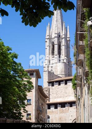 La Collégiale de Sant Feliu à Gérone (Espagne), vue à travers le feuillage Banque D'Images