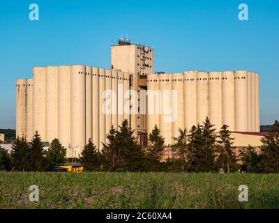 Silo de l'alimentation dans l'industrie agricole Banque D'Images