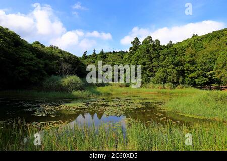 étang près du pont de Jingshan près du Grassland de Qingtiangang, Yangmingshan, Taïwan Banque D'Images