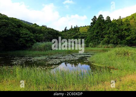 étang près du pont de Jingshan près du Grassland de Qingtiangang, Yangmingshan, Taïwan Banque D'Images