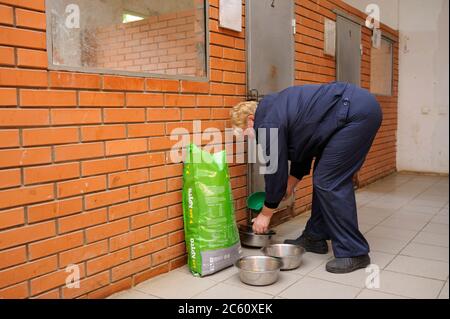 Femme travaillant devant la cage et mettant de la nourriture pour chien avec une pelle dans un bol pour chien. 4 octobre 2019. Abri municipal pour animaux. Borodyank Banque D'Images