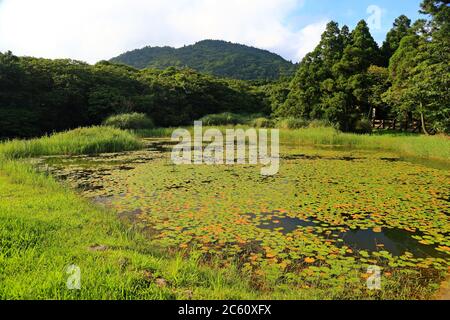 étang près du pont de Jingshan près du Grassland de Qingtiangang, Yangmingshan, Taïwan Banque D'Images