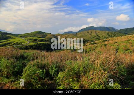 Grassland Qingtiangang à Taipei Yangmingshan, Taïwan. Banque D'Images