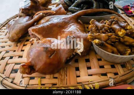 Viande rôtie pour chiens à vendre sur le marché de rue. Tête, jambes, pattes, pieds, dents, corps, queue. La cuisine vietnamienne locale dégoûtante. Hanoï, Vietnam Banque D'Images