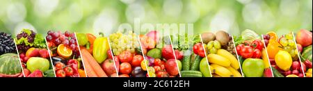 Fruits, légumes, baies lignes obliques séparées sur fond vert flou. Panorama large. Banque D'Images