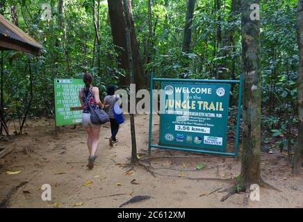 PUERTO PRINCESA, PHILIPPINES - 29 NOVEMBRE 2017 : visite touristique de Jungle Trail au parc national de la rivière souterraine de Puerto Princesa. Puerto Princesa Sub Banque D'Images