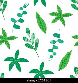 Motif feuilles tropicales sans couture sur fond blanc. Fond floral. Feuillage tropical dessiné à la main. Modèle moderne pour impression, bannière. Vecteur Illustration de Vecteur
