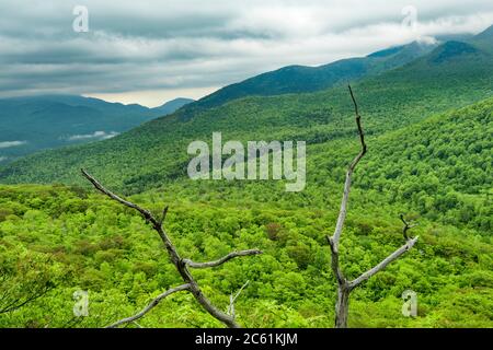 Sommets et vallée de la montagne depuis le sommet d'Owls Head, Adirondack Park, région de High Peaks, comté d'Essex, NY Banque D'Images