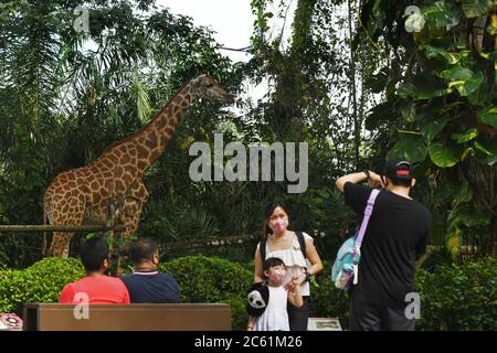 Singapour. 6 juillet 2020. Les visiteurs portant un masque facial visitent le zoo de Singapour le 6 juillet 2020. Le zoo de Singapour a rouvert ses portes au public lundi après l'assouplissement des mesures de confinement dans la lutte contre la pandémie COVID-19. Crédit: Puis Chih Wey/Xinhua/Alay Live News Banque D'Images