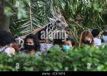 Singapour. 6 juillet 2020. Les visiteurs portant des masques de visage visitent le zoo de Singapour le 6 juillet 2020. Le zoo de Singapour a rouvert ses portes au public lundi après l'assouplissement des mesures de confinement dans la lutte contre la pandémie COVID-19. Crédit: Puis Chih Wey/Xinhua/Alay Live News Banque D'Images