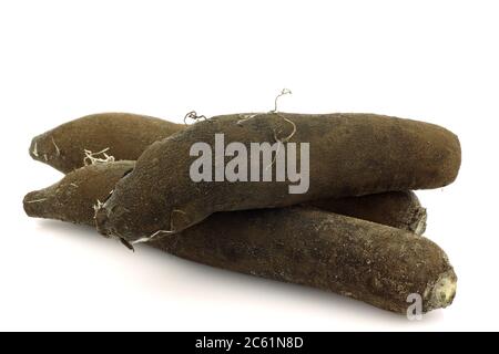 Longues radis noirs d'hiver (Raphanus sativus subsp. niger) et une coupe sur fond blanc Banque D'Images