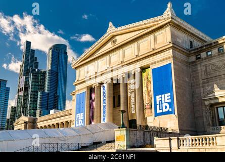 Field Museum of Natural History à Chicago, États-Unis Banque D'Images